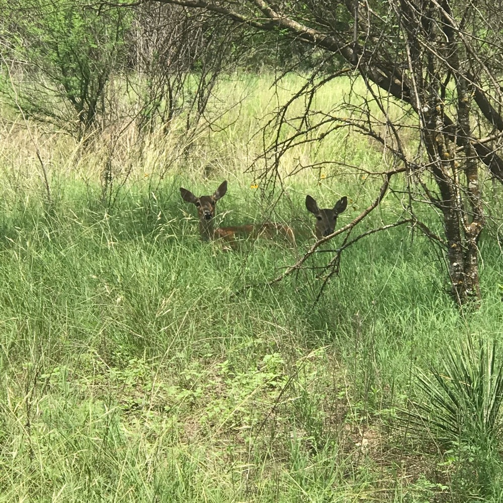 Meet your Posher, Veronica